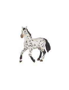 PAPO - Black Appaloosa Horse
