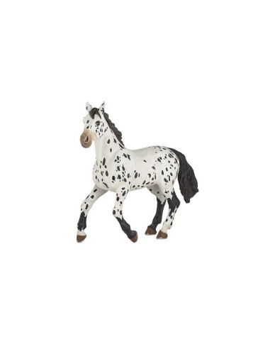 PAPO - Black Appaloosa Horse