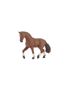 PAPO - Chestnut Hanoverian Horse
