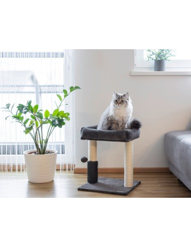 Cat Tree Rosi 48cm