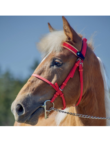 Pro Synthetic (100% Beta) Open Race Bridle size...