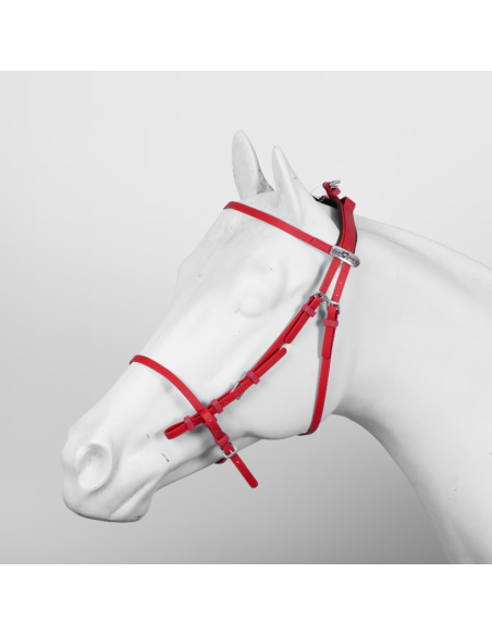 Pro Synthetic (100% Beta) Open Race Bridle size Full