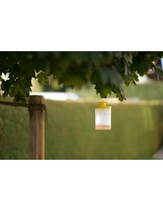 cit Fly Trap FlyCage3 2