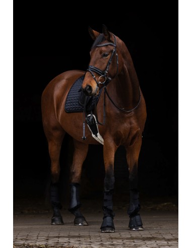 Saddle Pad Covalliero AW25