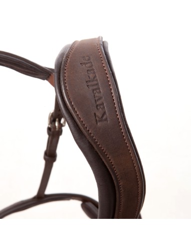 Oiled leather horse bridle EveryDay