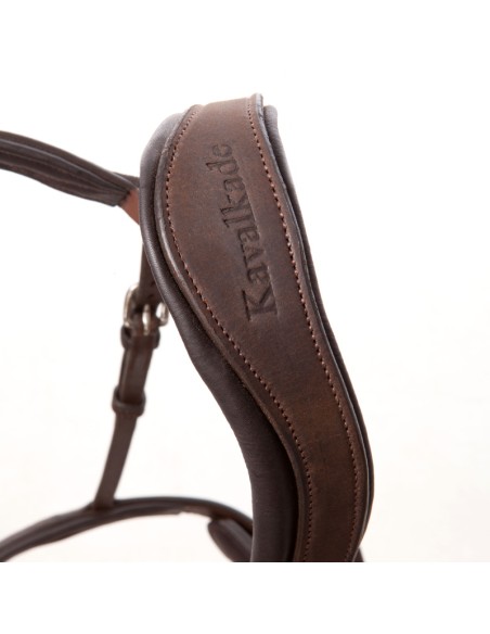 Oiled leather horse bridle EveryDay