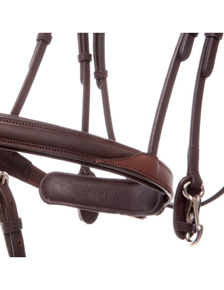Oiled leather horse bridle EveryDay