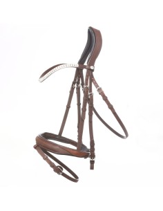 Bridle oiled leather "Everness" english combo