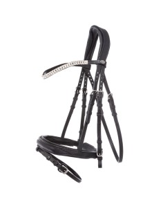Bridle oiled leather "Everness" english combo 2