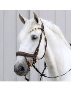 Bridle "Caliano" english nb. with flash 2