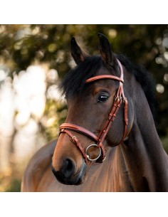 Bridle "Robin" english nb. with flash 2