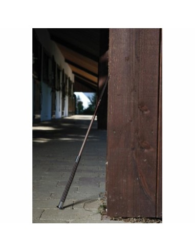 Equipage Jumping whip