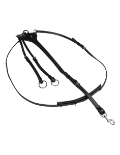 Waldhausen X-Line Martingale, Professional