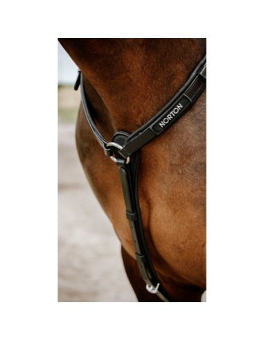 NORTON Endurance Hunting Collar - Pop