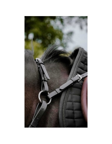 NORTON Endurance Hunting Collar - Pop