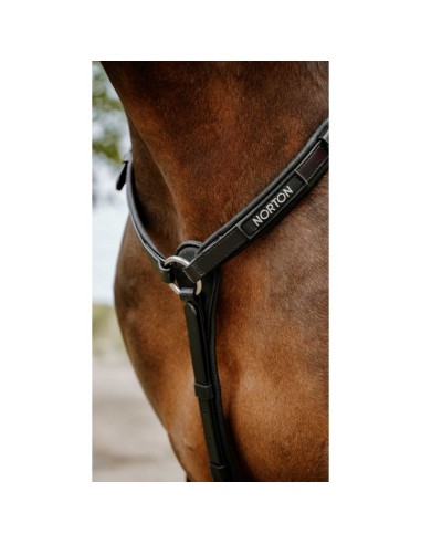 NORTON Endurance Hunting Collar - Pop