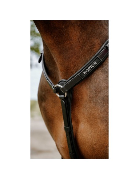 NORTON Endurance Hunting Collar - Pop