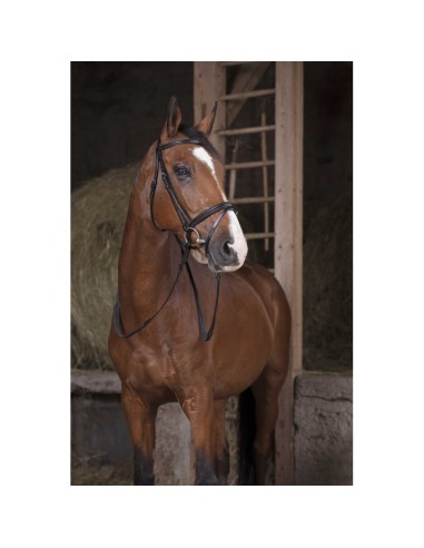 NORTON PRO Rubber Reins