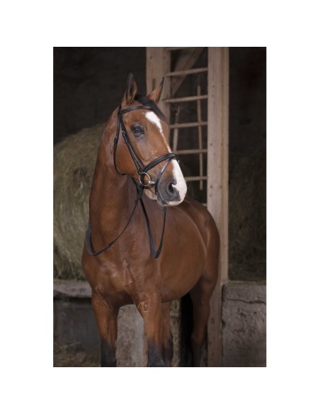NORTON PRO Rubber Reins