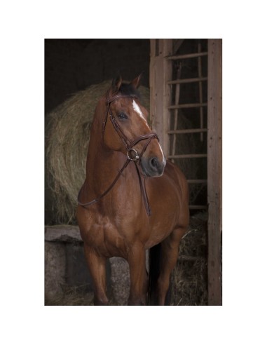 NORTON PRO Rubber Reins
