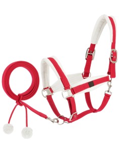 Halter + lanyard EQUITHÈME - Xmas 2