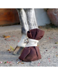 Treatment Shoe for Hooves 2