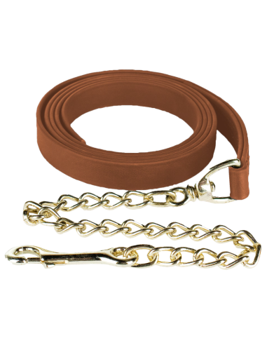 Pro Beta Lead Shank with Single Chain