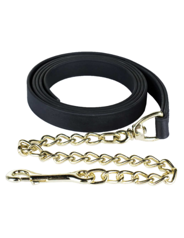 Pro Beta Lead Shank with Single Chain