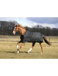 Horse Blanket RugBe 100 Winter 2
