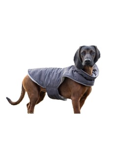 Dog Coat Montreal