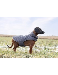 Dog Coat Montreal 2