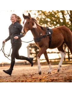 Foalmaster-foal harness with handle 2