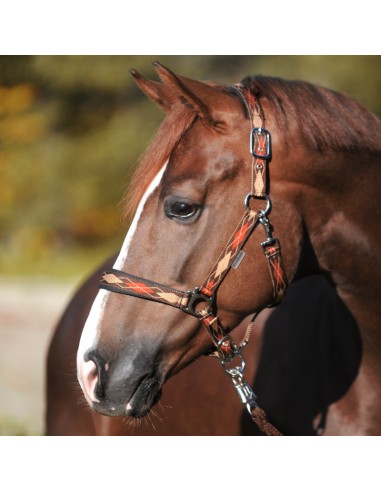 Halter "Classic Raute"