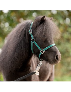 Shetty halter "Shorty" 2