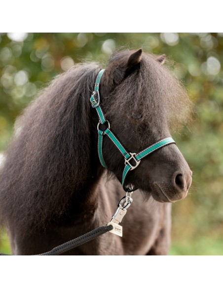 Shetty halter "Shorty"