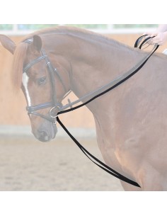 Webbed draw reins - carabiners and loop - 16mm 2