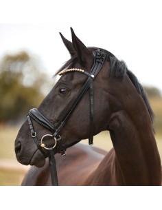 Bridle "Fortuna" crank nb. with flash 2