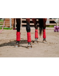 EQUITHÈME Polo Bands 2