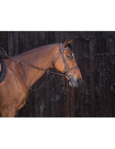 RIDING WORLD Running martingale 2