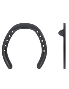 Horseshoes TNC Rim hind 2