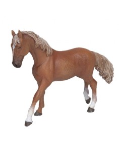 PAPO - Chestnut English Thoroughbred Mare