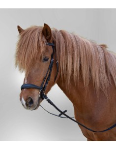 STAR Bridle Hannover