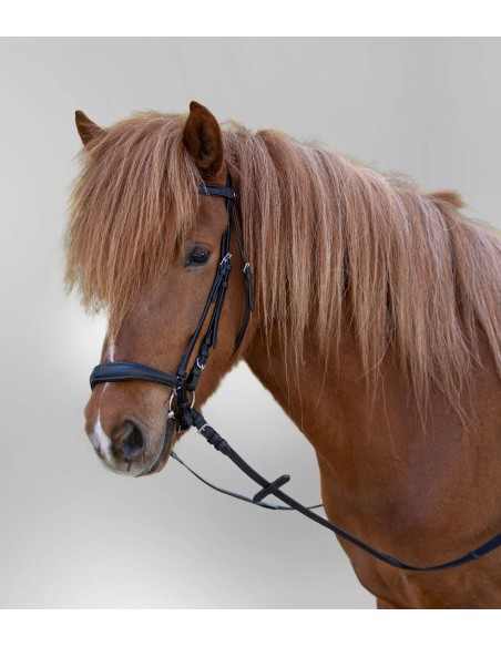 STAR Bridle Hannover