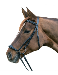 STAR Bridle Hannover 2