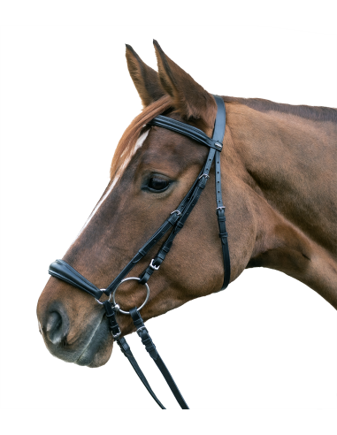 STAR Bridle Hannover