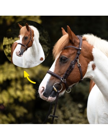 Trail bridle Artemis