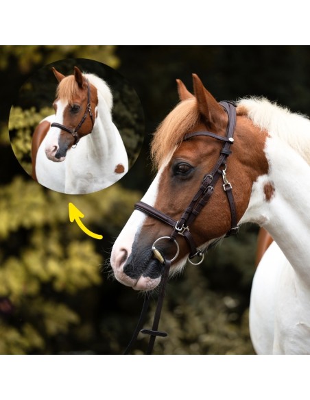 Trail bridle Artemis