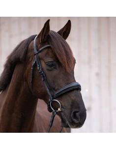 Bridle "Victoria" crank nb -flash