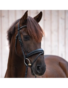 Bridle "Victoria" crank nb -flash 2