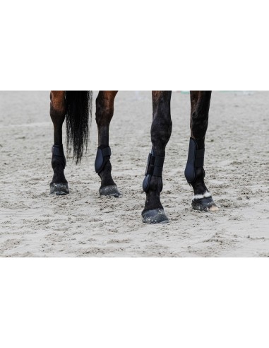 EQUITHЕME - Tara - Fetlock Boots